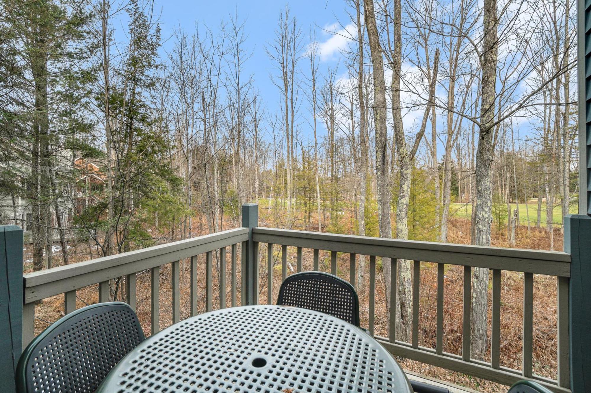 Wintergreen Condos Thompsonville Kamer foto