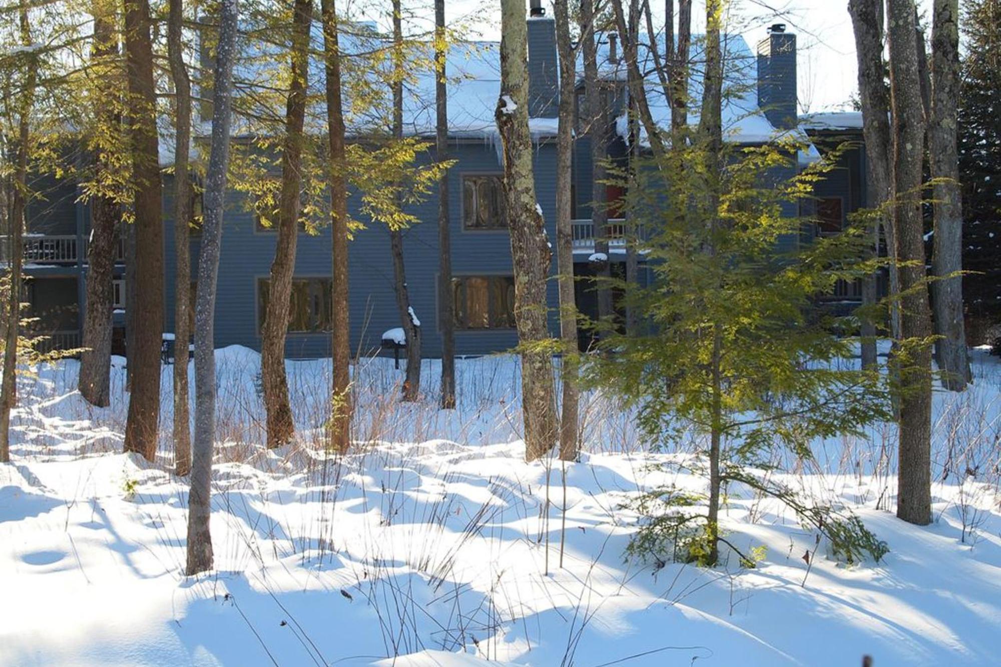 Wintergreen Condos Thompsonville Kamer foto