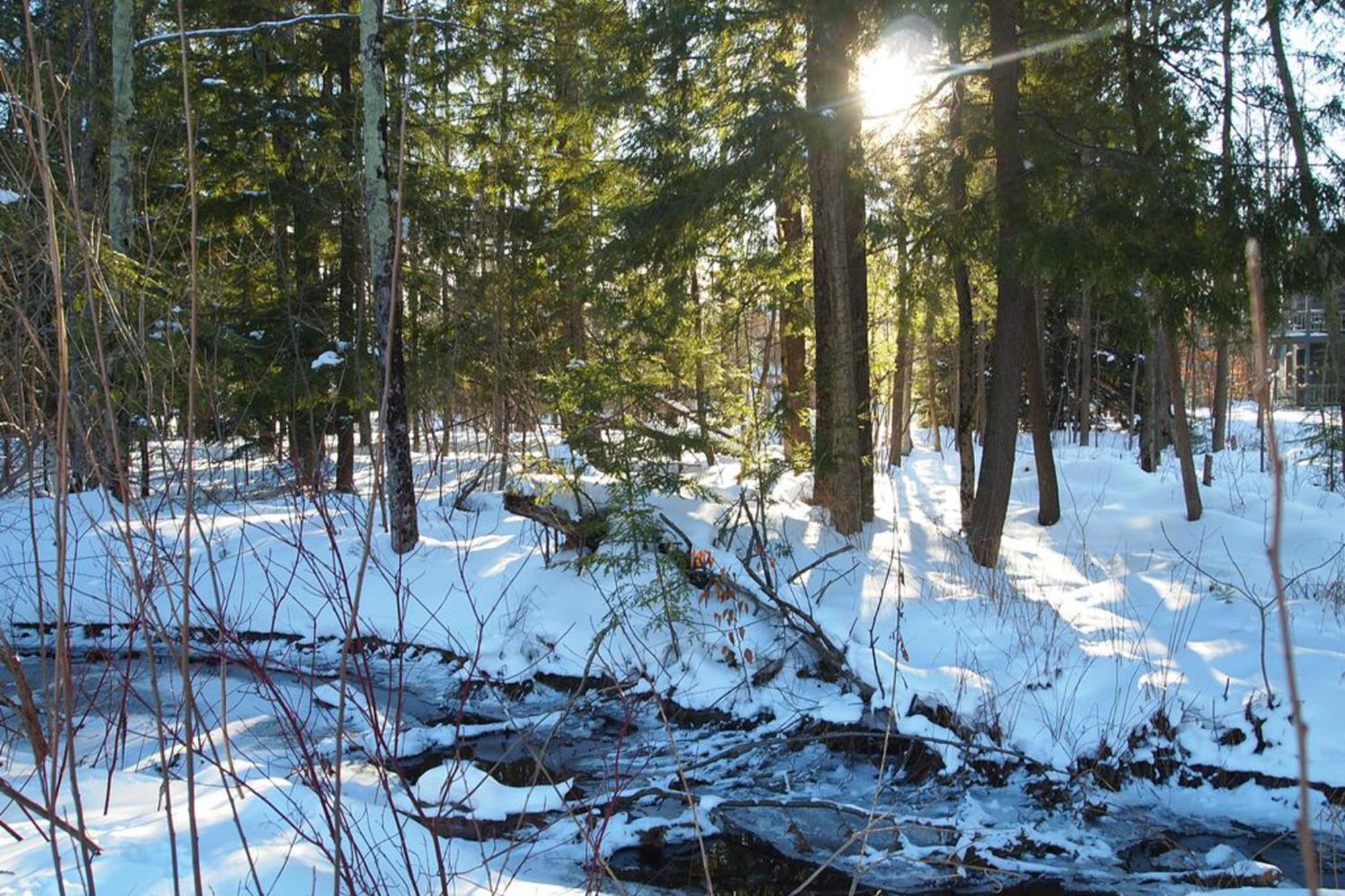 Wintergreen Condos Thompsonville Kamer foto