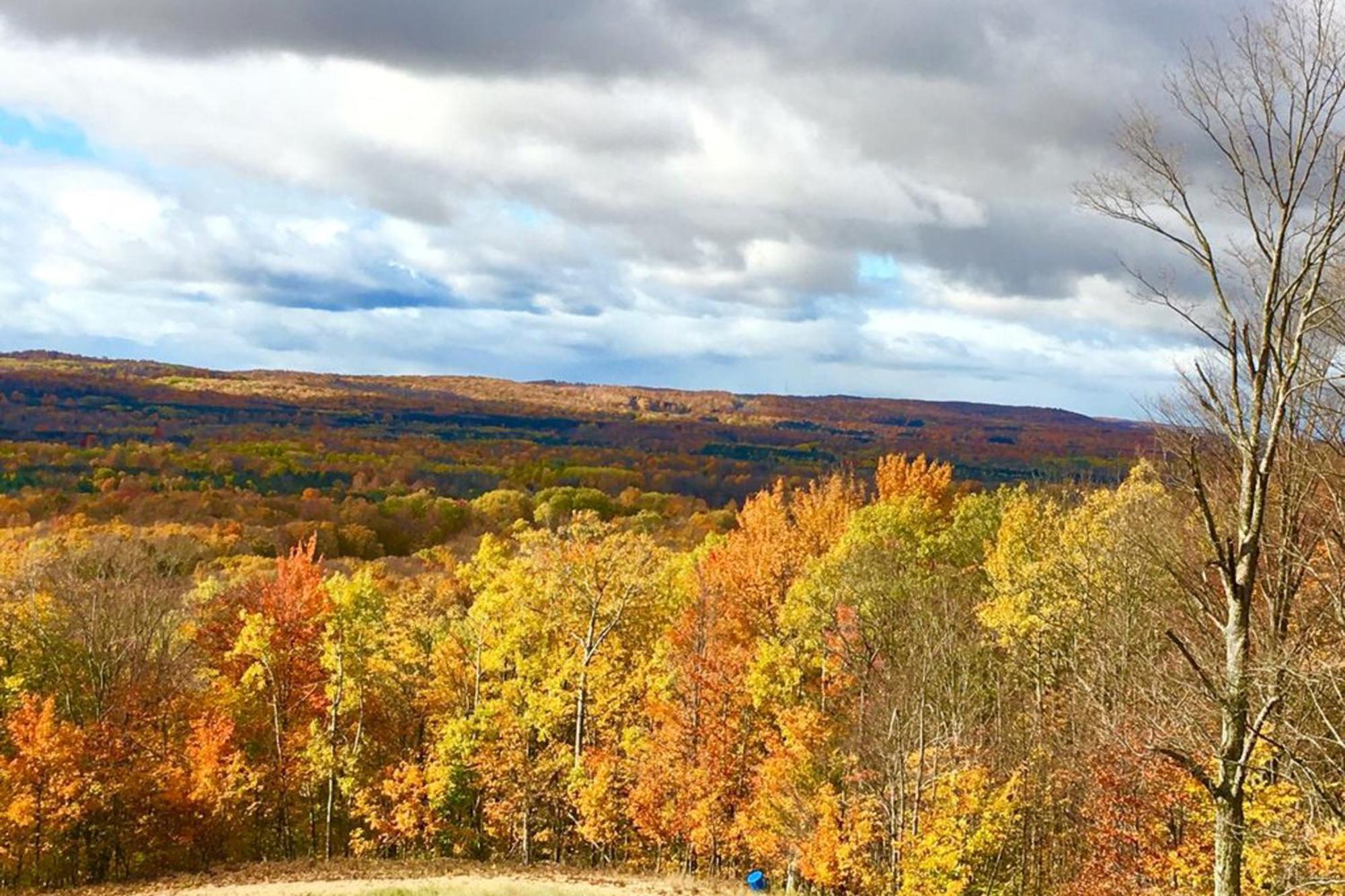 Wintergreen Condos Thompsonville Kamer foto